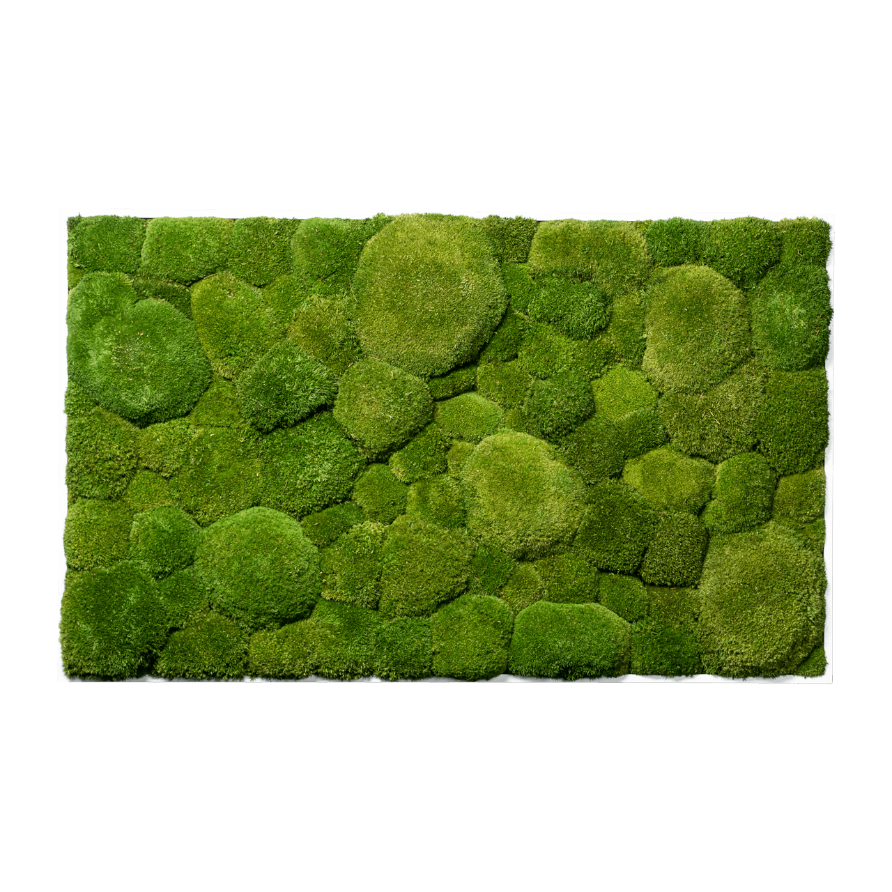 Hügelmoos | eckig