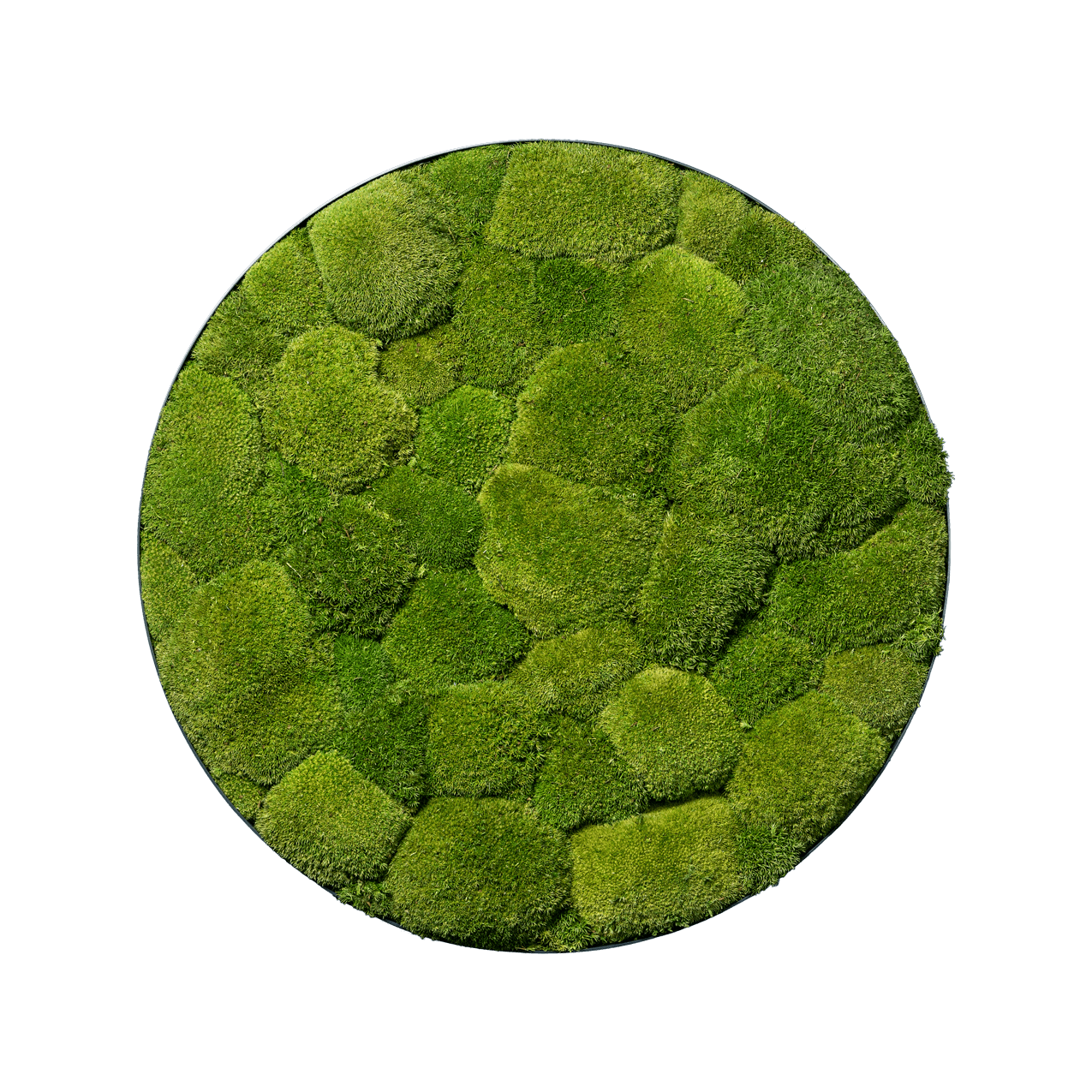 Hügelmoos | rund
