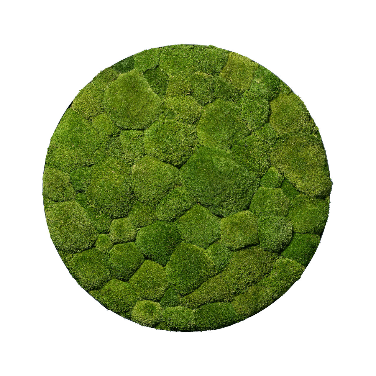 Hügelmoos | rund