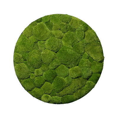 Hügelmoos | rund