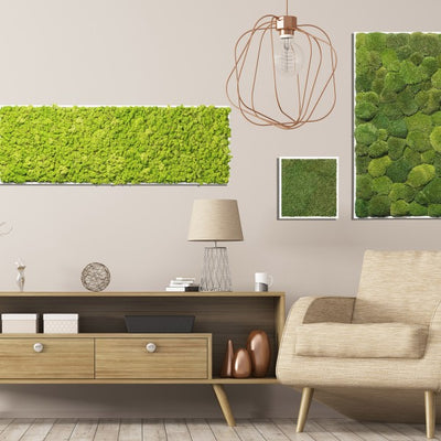 Islandmoos Apfelgrün Premium | eckig