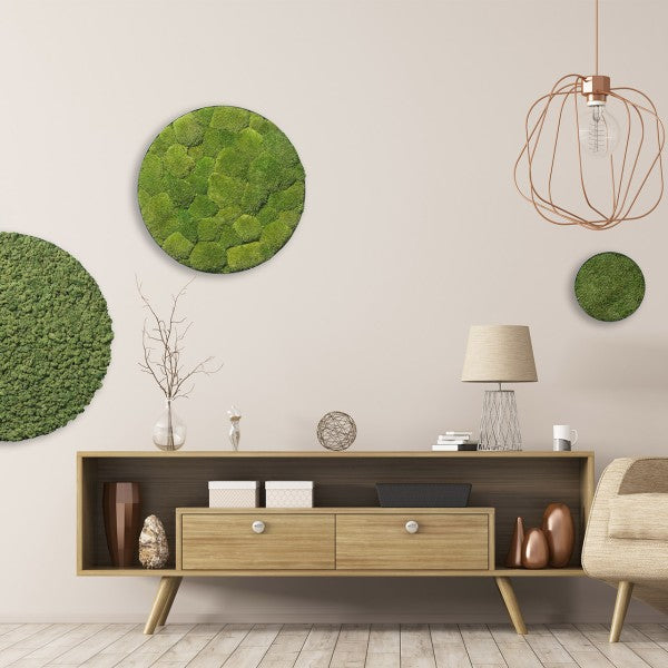 Islandmoos Waldgrün | rund