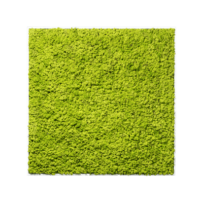 Islandmoos Apfelgrün Premium | eckig