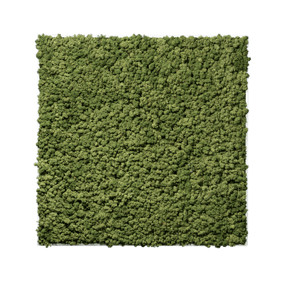 Islandmoos Apfelgrün Premium | eckig