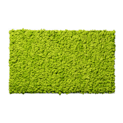 Islandmoos Apfelgrün Premium | eckig