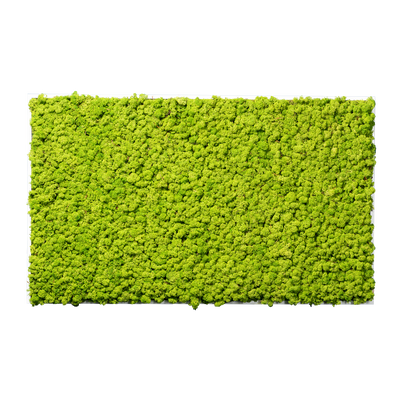 Islandmoos Waldgrün Premium | eckig