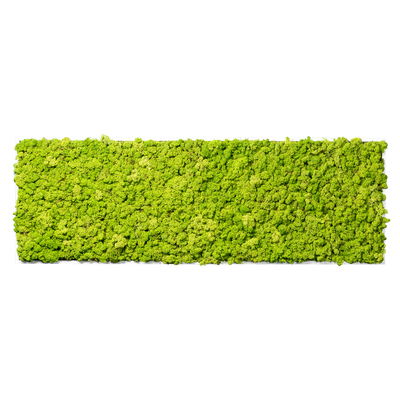 Islandmoos Waldgrün Premium | eckig