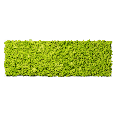 Islandmoos Apfelgrün Premium | eckig