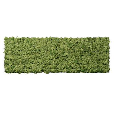 Islandmoos Apfelgrün Premium | eckig