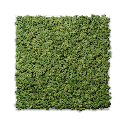 Islandmoos Waldgrün Premium | eckig