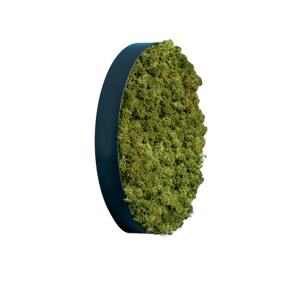 Islandmoos Waldgrün | rund