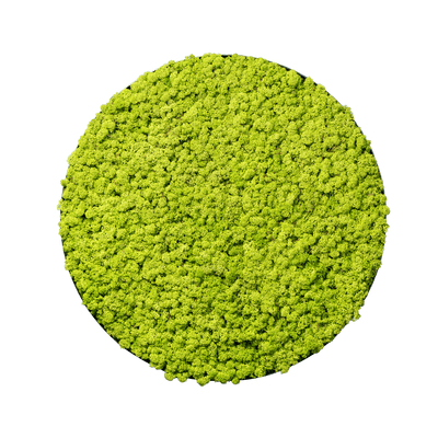 Islandmoos Apfelgrün | rund