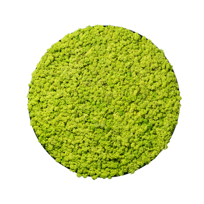 Islandmoos Waldgrün | rund