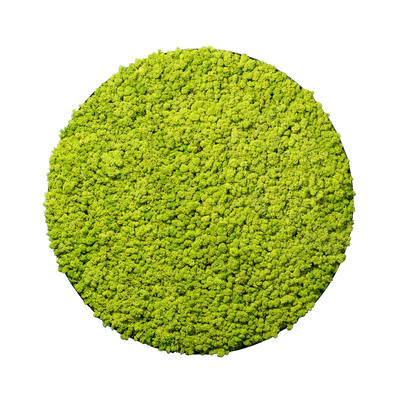 Islandmoos Waldgrün | rund