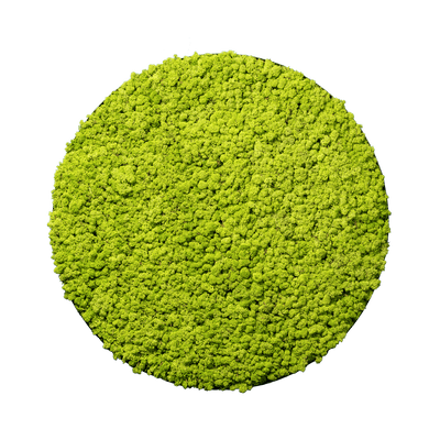 Islandmoos Apfelgrün | rund