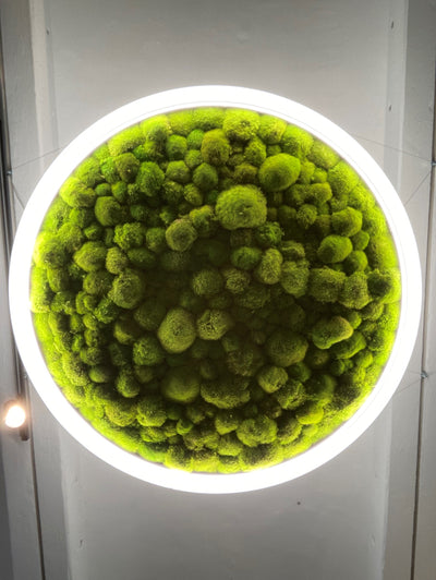 Greenhill Deckenleuchte